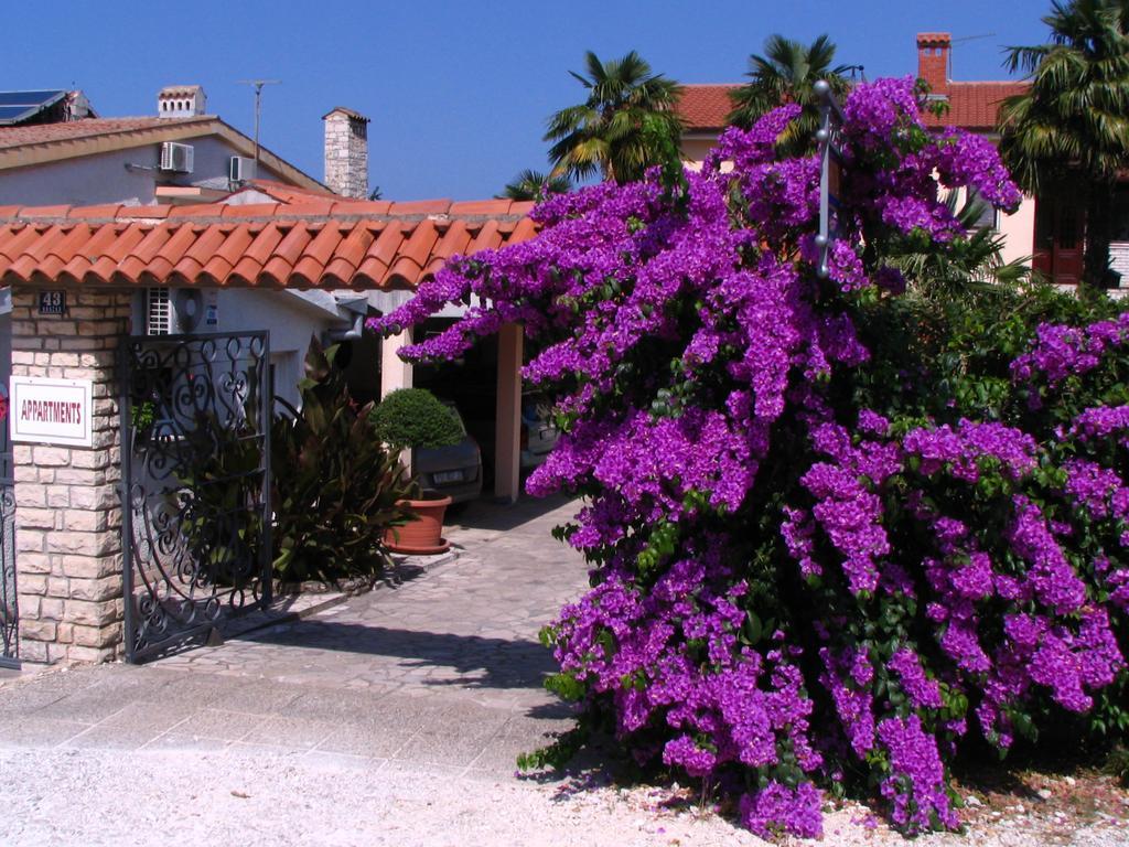 Apartments Nela Poreč Exteriér fotografie